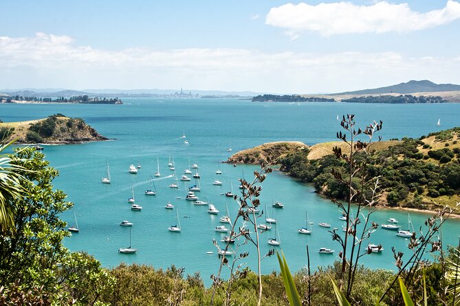 1.5h Waiheke Guided Scenic Tour in our Electric Van - Piritahi Marae and the pouwhenua carvings