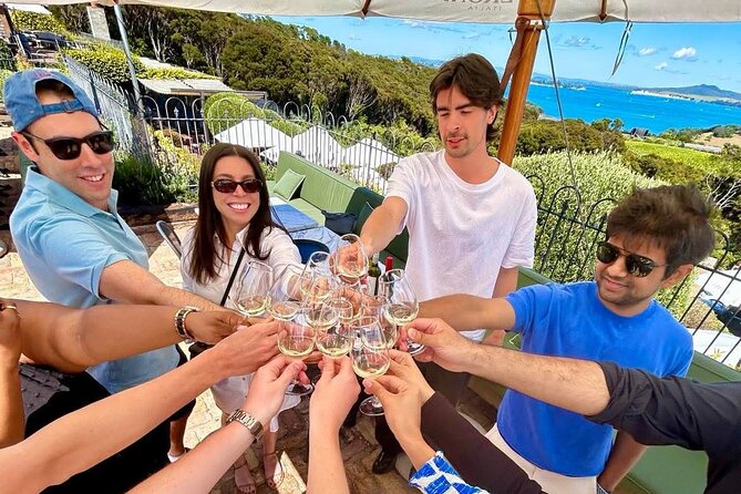 1.5h Waiheke Guided Scenic Tour in our Electric Van - A private tour, not a large group outing