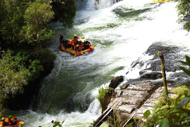 10 Day North to South Island NZ Private Tour from Auckland - Kaikoura or Akaroa changes the feel of day five