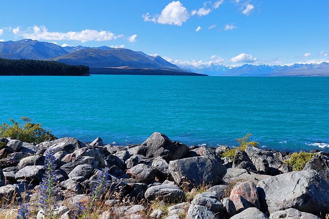 12 Day New Zealand Private Tour from Auckland to Queenstown - Wellington to Christchurch keeps the route moving