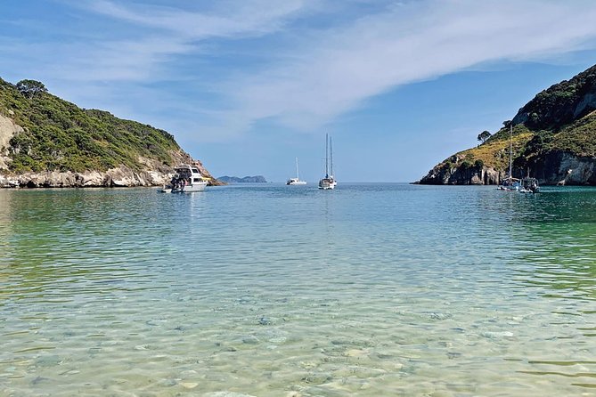 2.5 Hours Wine Tour in Waiheke Island for Cruise Ship Travelers - The strongest reasons to book
