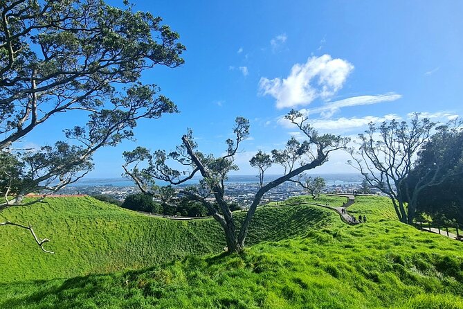 2025 Award Winning: Auckland City Highlights Half Day Tour - Small groups, pickup, and the practical details