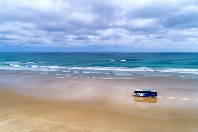 3-Day Bay of Islands Tour from Auckland - Is $785.03 good value?