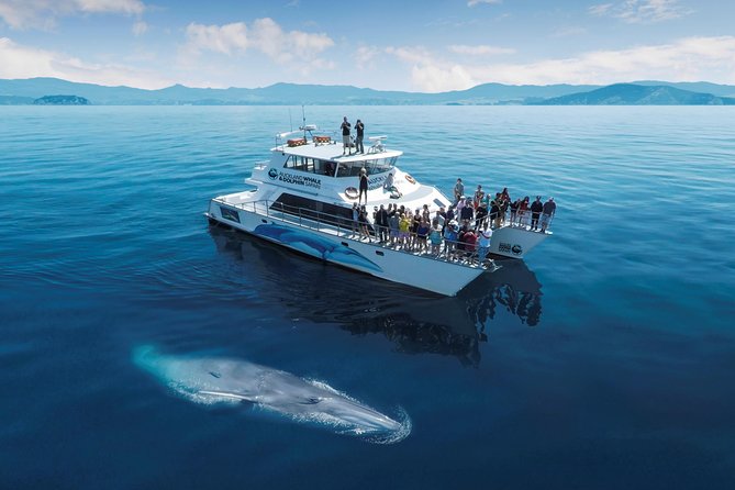 3 Day Bay Of Islands Tour from Auckland including Waitangi and Cape Reinga - Who should book this Northland trip?
