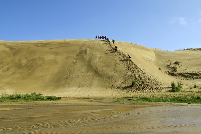 3 Day Bay Of Islands Tour from Auckland including Waitangi and Cape Reinga - Should you book it?