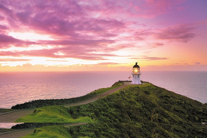 3 Day Bay Of Islands Tour from Auckland including Waitangi and Cape Reinga - Paihia accommodation: useful, not lavish