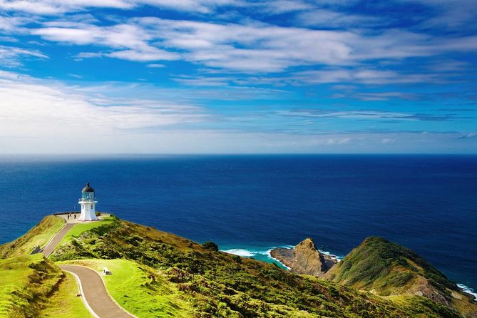 3-Day Bay of Islands Tour from Auckland - Paihia gives the trip breathing room