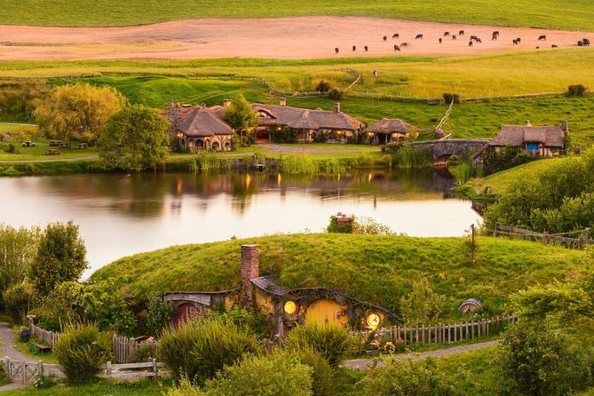 3 Day Waitomo Caves, Hobbiton Movie Set and Rotorua Tour from Auckland - Te Puia and Rotorua: geothermal power with cultural context