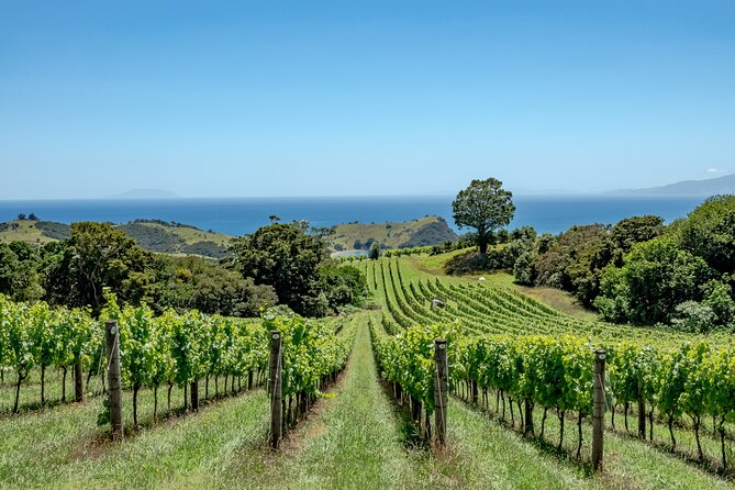 4.5-Hour Scenic Wine Tour with Private Guide & Up to 12 Tastings - Blackpool and Piritahi Marae on the way back