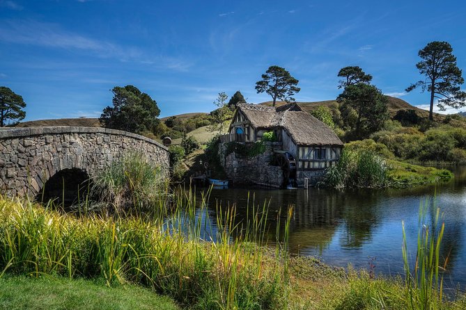 4-Day Auckland to Wellington via Rotorua Tour - The Rotorua to Wellington coach is the tour’s weak point
