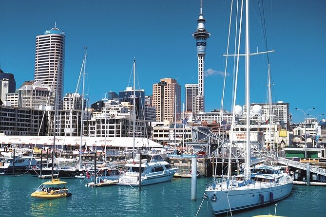 5-Day Bay of Islands, Auckland, Hobbiton, Rotorua & Waitomo Tour - Hotels, transport, and group size