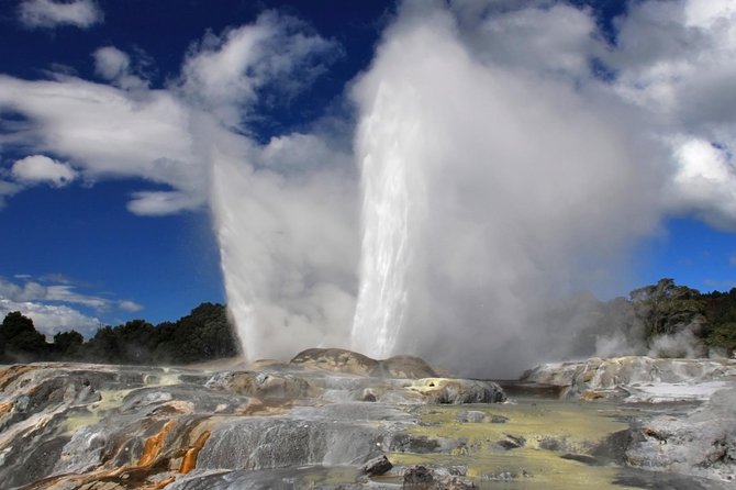 5-Day New Zealand North and South Island Highlights Tour - Day 4: crossing Cook Strait and riding the coastal rail line
