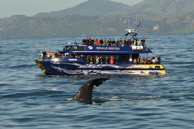 5-Day New Zealand North and South Island Highlights Tour - What the $1,364.64 price really covers