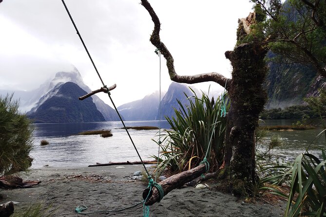 6 Day South Island New Zealand Private Tour from Auckland - Day 6: Te Anau glowworms and your final choice