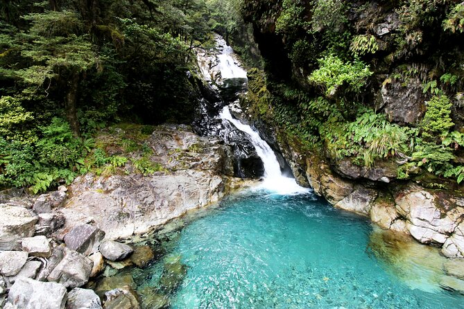 6 Day South Island New Zealand Private Tour from Auckland - What the $3,909.61 price really covers