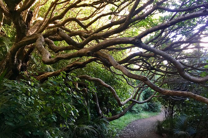 6 Hours Sightseeing Tour in Auckland - Quick reasons to consider this tour