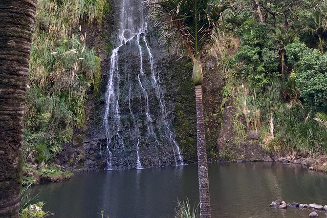 6 Hours Sightseeing Tour in Auckland - Is $179.97 a fair price?