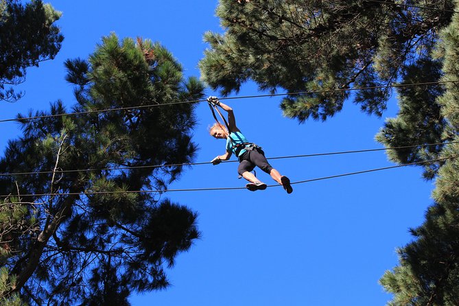 Adrenalin Forest Auckland - Key points at a glance