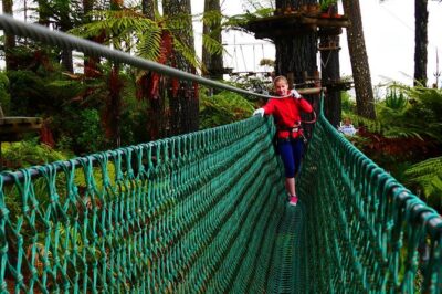 Adrenalin Forest Auckland