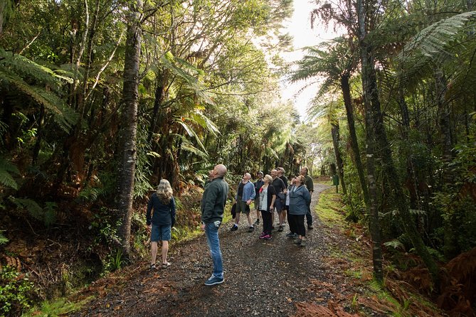 Afternoon Piha Beach and Rainforest Tour from Auckland - Afternoon tea with a New Zealand touch
