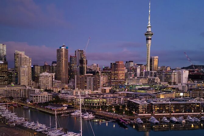 Auckland Airport Private One-Way or Round-Trip Transfer - The vehicles, WiFi, and small comforts
