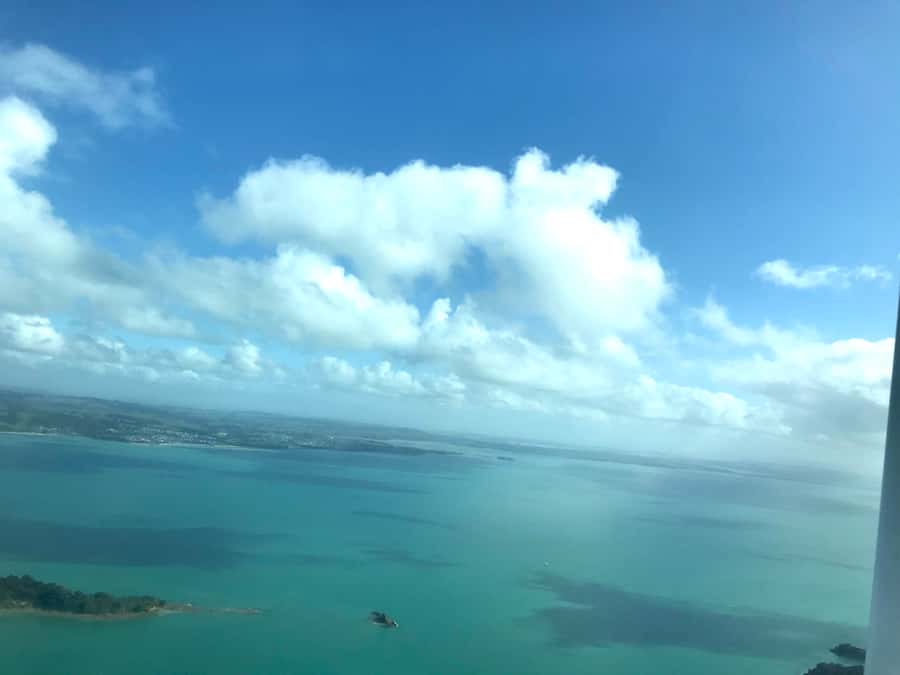 Auckland: Auckland City & Hauraki Gulf Scenic Flight - Who will enjoy this flight most