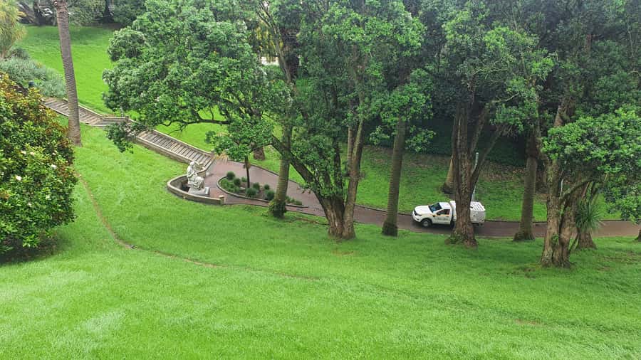 Auckland: Auckland City Tour 4 hours private - Key points to know before booking