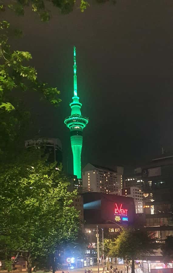 Auckland: Auckland City Tour 4 hours private - Seeing Auckland from Mount Eden