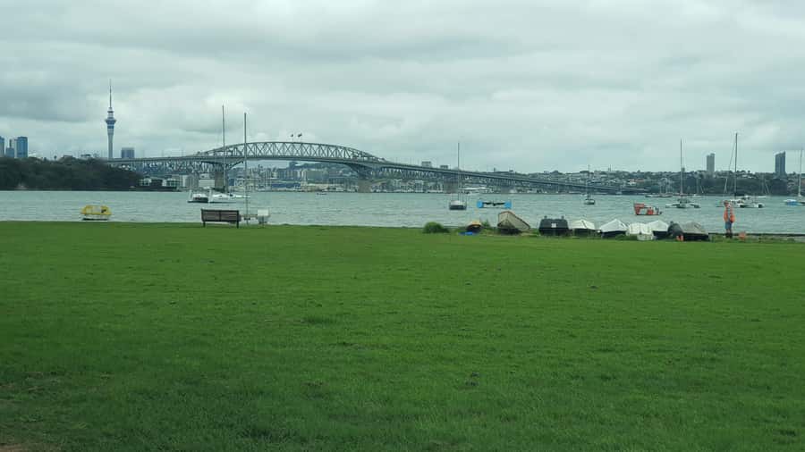 Auckland: Auckland City Tour 4 hours private - A private car tour that keeps the day moving