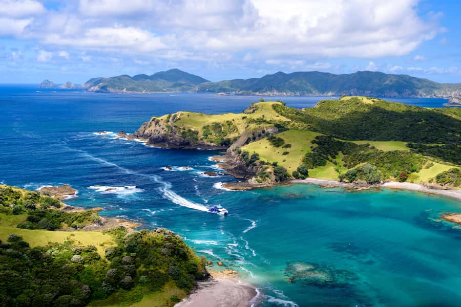 Auckland: Bay of Islands Day Tour with Dolphin Cruise - Key points at a glance