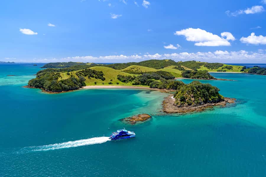 Auckland: Bay of Islands Day Tour with Dolphin Cruise - Why this Auckland day trip is worth the long ride