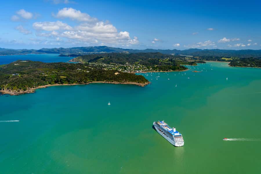 Auckland: Bay of Islands Day Tour with Dolphin Cruise - Paihia and the three-hour cruise