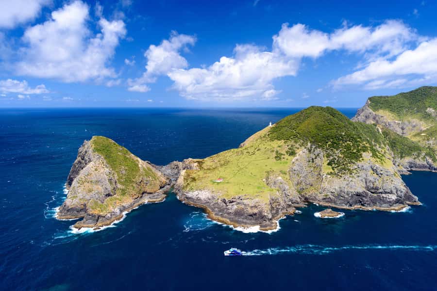 Auckland: Bay of Islands Day Tour with Dolphin Cruise - Who should book this Bay of Islands tour?