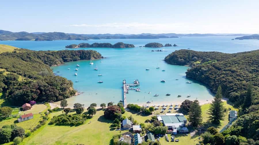 Auckland: Bay of Islands Tour & Cruise 2Day Small Group Tour - Waipoua Forest and Tane Mahuta