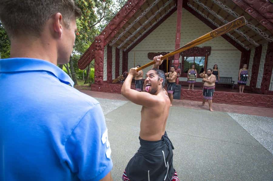 Auckland: Bay of Islands Tour & Cruise 2Day Small Group Tour - Otehei Bay and Urupukapuka Island