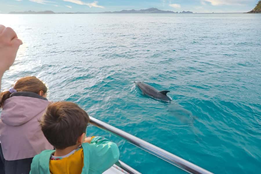 Auckland: Bay of Islands Tour & Cruise 2Day Small Group Tour - The return to Auckland and the value of the price