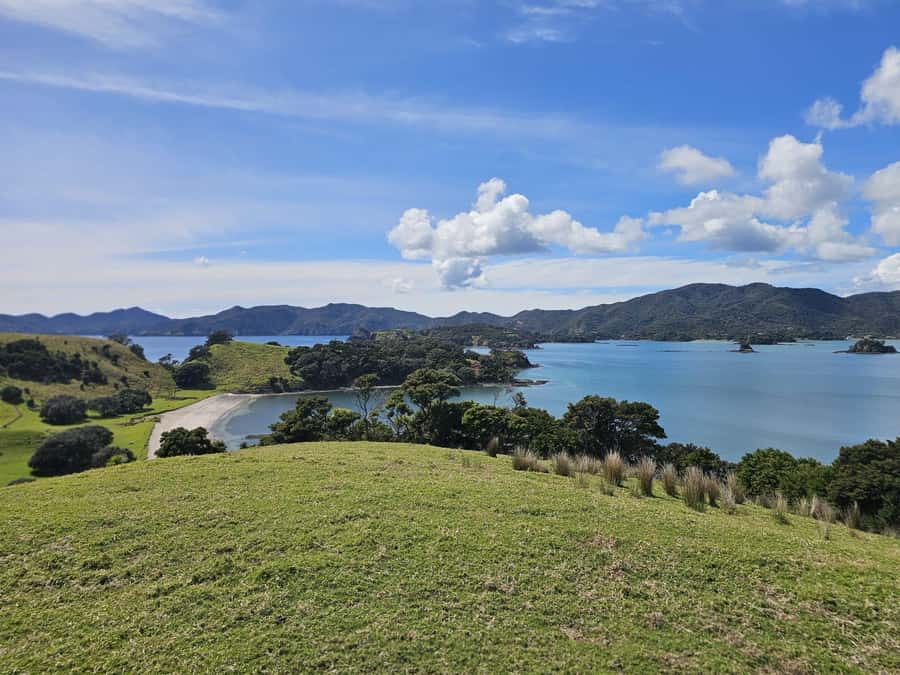 Auckland: Bay of Islands Tour & Cruise 2Day Small Group Tour - Who should book this two-day tour?