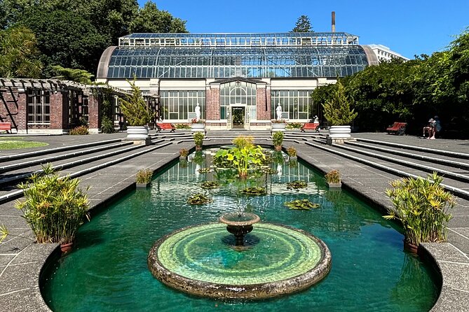 Auckland Best Top 5 Spots Half day Tour - The Domain Wintergardens for a calmer pause