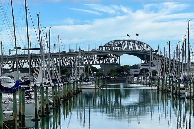 Auckland Best Top 5 Spots Half day Tour - Family-friendly touches that add real value