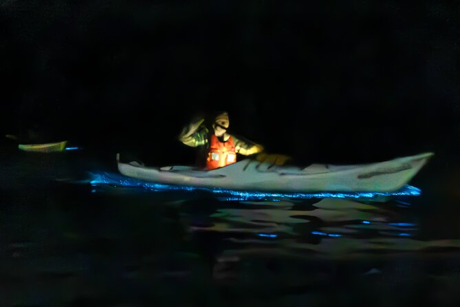 Auckland Bioluminescence Kayak Tour - Key points to know before you book