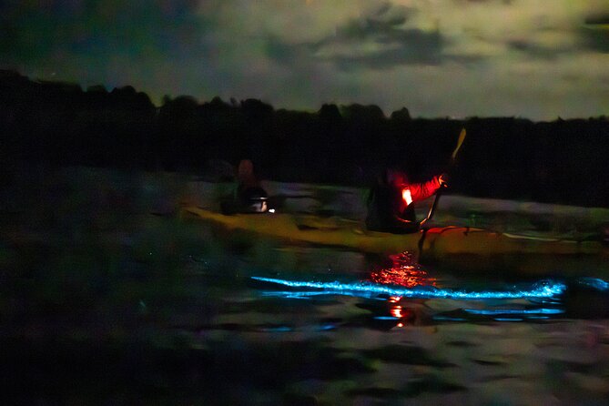Auckland Bioluminescence Kayak Tour - Stargazing adds another reason to go