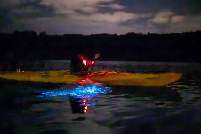 Auckland Bioluminescence Kayak Tour - Should you book the Auckland Bioluminescence Kayak Tour?