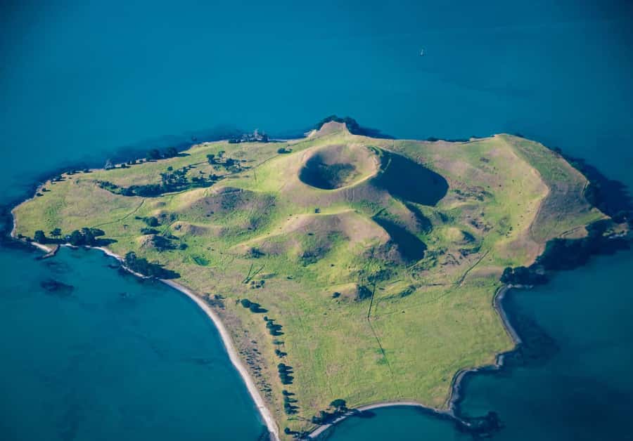 Auckland: Browns Island (Motukorea) Sea Kayak Tour - Key points before you book