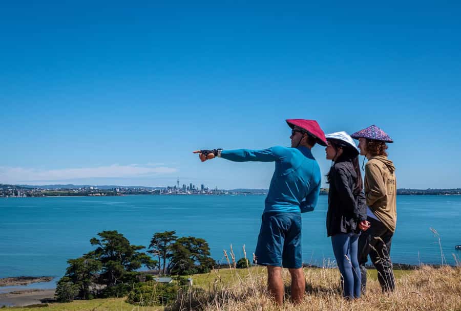 Auckland: Browns Island (Motukorea) Sea Kayak Tour - Who will enjoy this tour most