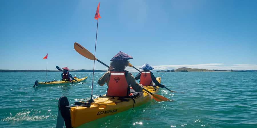 Auckland: Browns Island (Motukorea) Sea Kayak Tour - Why Motukorea makes a good Auckland outing