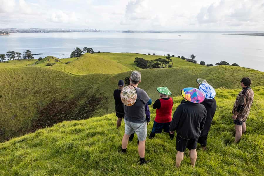 Auckland: Browns Island (Motukorea) Sea Kayak Tour - Wildlife on the Hauraki Gulf