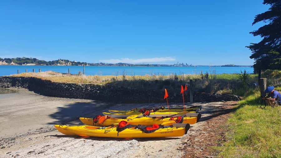 Auckland: Browns Island (Motukorea) Sea Kayak Tour - Landing on the volcanic island