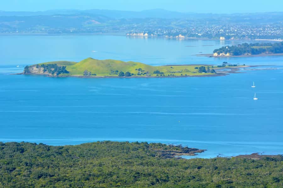 Auckland: Browns Island (Motukorea) Sea Kayak Tour - How the four hours are divided