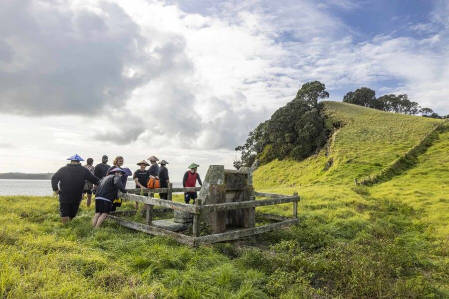Auckland: Browns Island (Motukorea) Sea Kayak Tour - What $89 includes, and what it does not