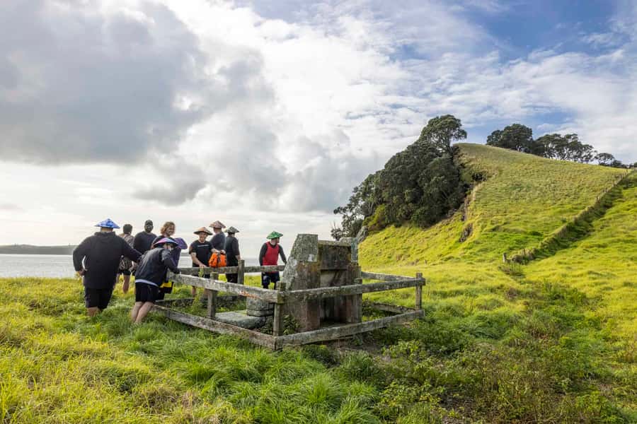 Auckland: Browns Island (Motukorea) Sea Kayak Tour - Safety, weather, and comfort on the water
